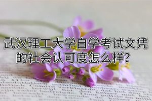 武汉理工大学自学考试文凭的社会认可度怎么样？