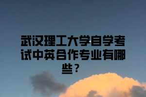 武汉理工大学自学考试中英合作专业有哪些？