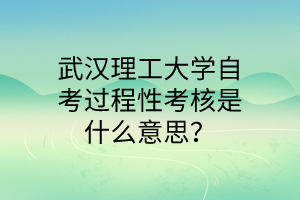 武汉理工大学自考过程性考核是什么意思？